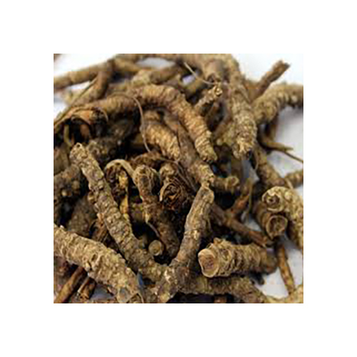 Kutki Herb