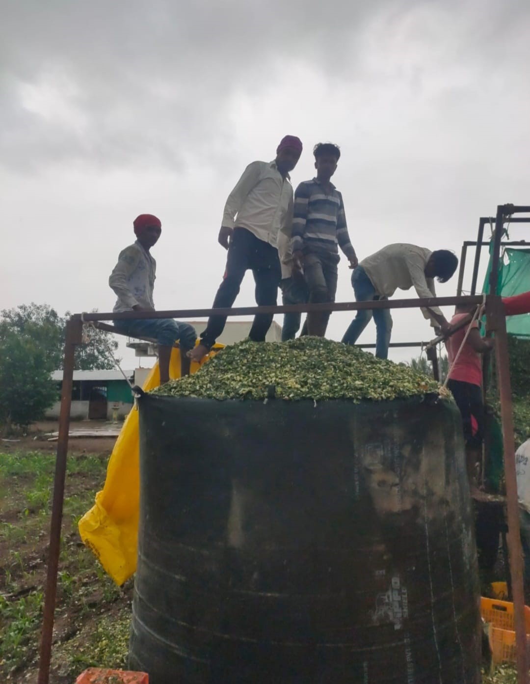 silage bag 5 ton