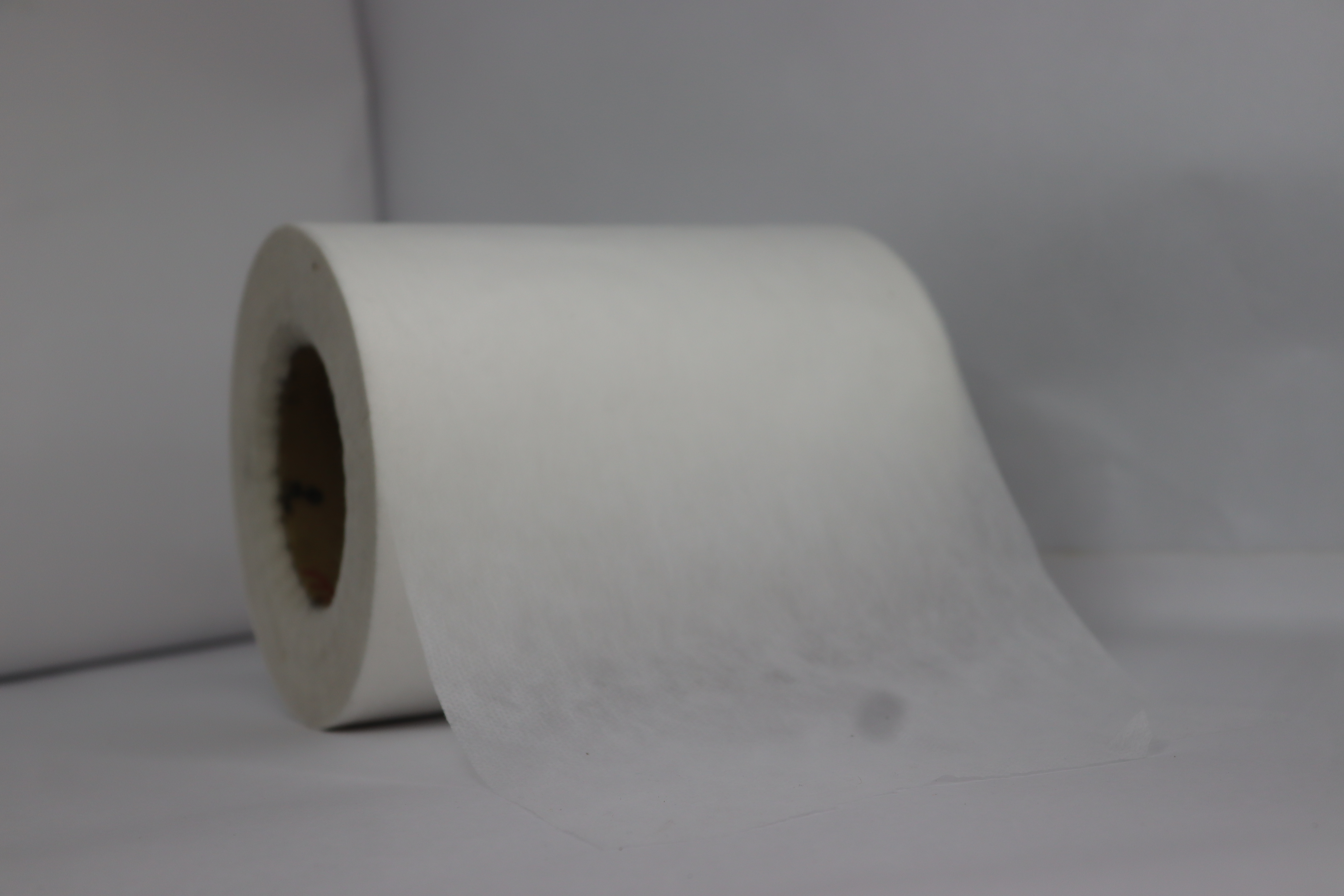 Hydrophilic Nonwoven