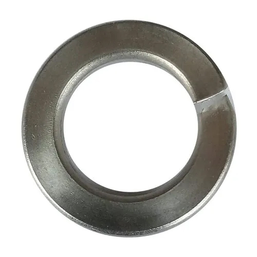 14Mm Ss Spring Washer