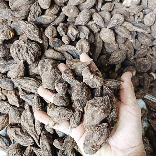 Natural Harad Julafa Jalap Roots - Age Group: Suitable For All