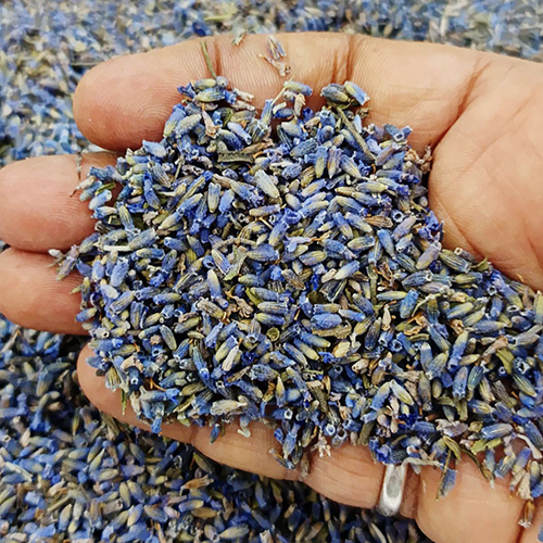 प्राकृतिक लैवेंडर कलियां