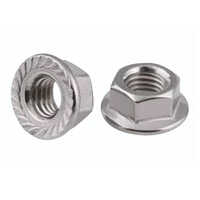 Stainless Steel Flange Nut