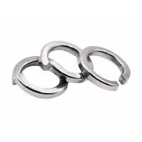 Stainless Steel Spring Washer