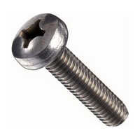 Ss 304 Pan Philips Screw - Color: Silver