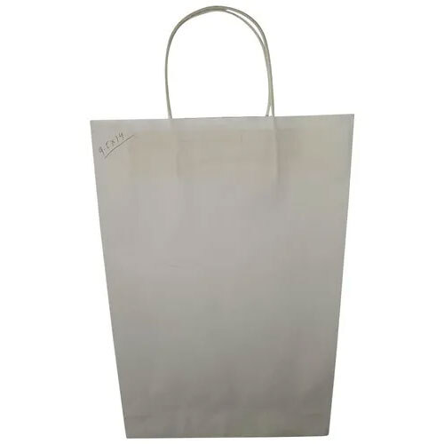 Handled Shopping Paper Bag