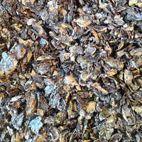 Cashew Nut Shell Cake