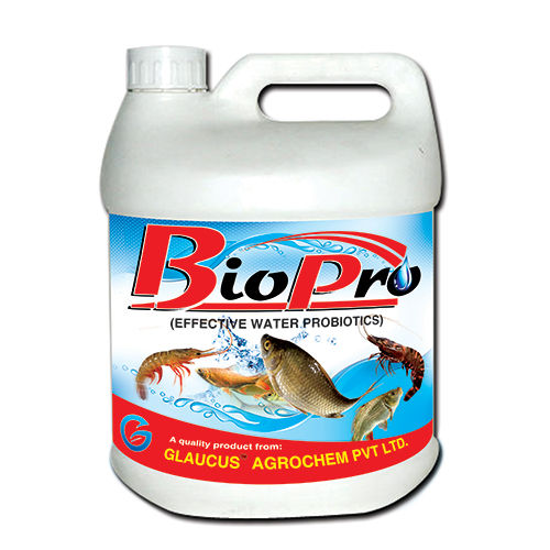 Effective Water Probiotics