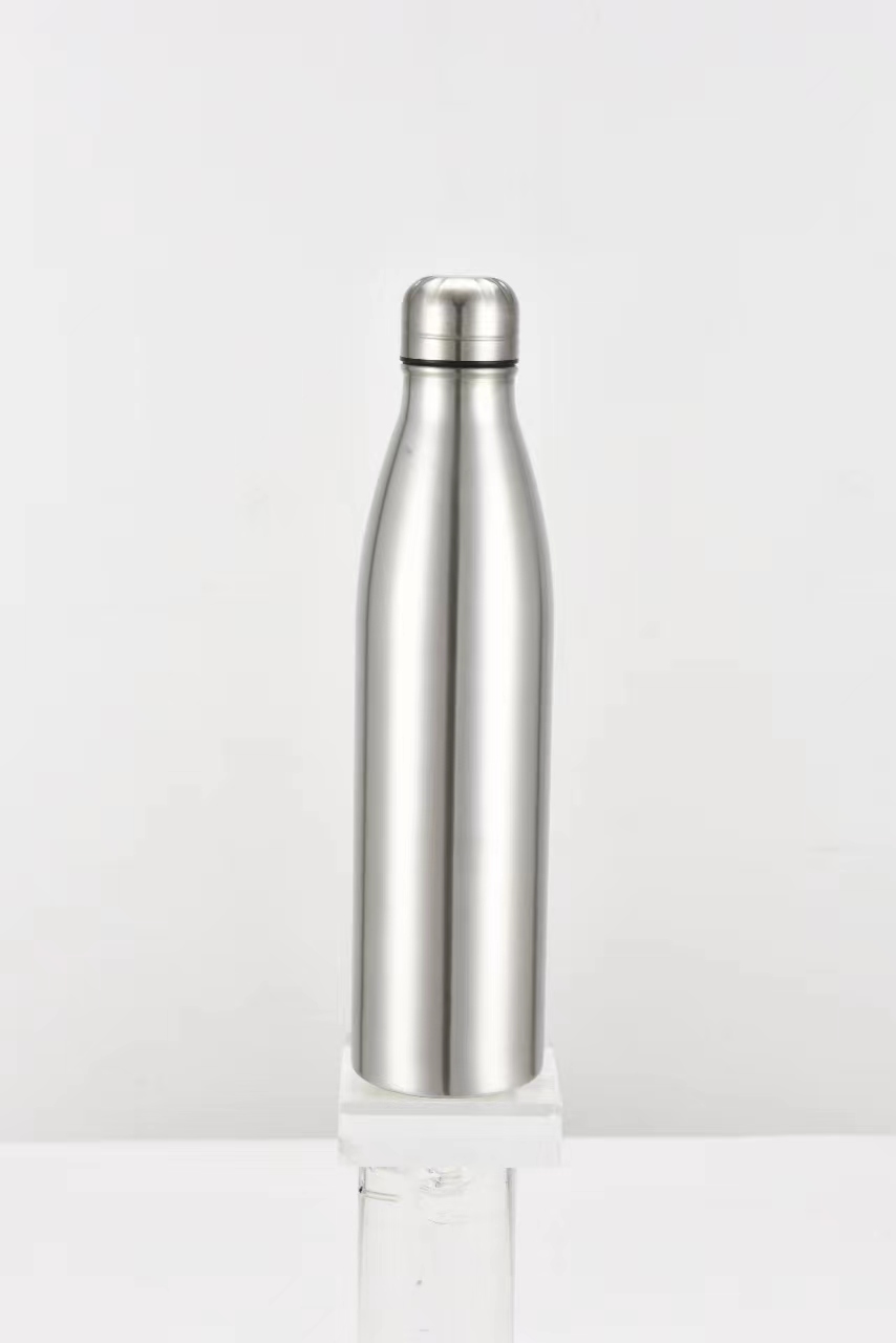 Stainless Steel Water Bottle