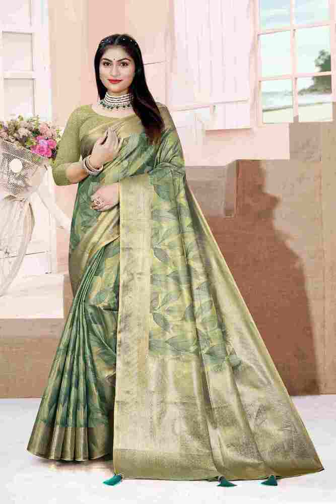 Parvati Multicolor Rapier Silk Saree -25930