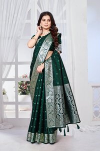 Parvati Multicolor Rapier Silk Saree -25933