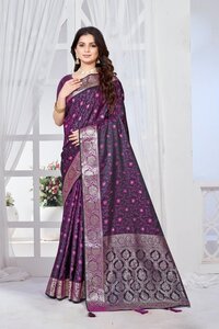 Parvati Multicolor Rapier Silk Saree -25933