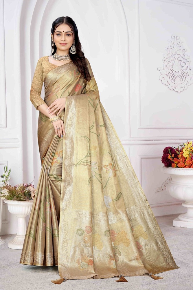 Parvati Multicolor Rapier Silk Saree -25917