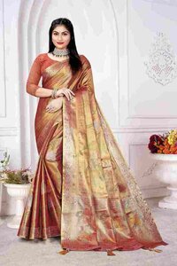 Parvati Multicolor Rapier Silk Saree -25917