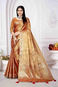 Parvati Multicolor Rapier Silk Saree -25917