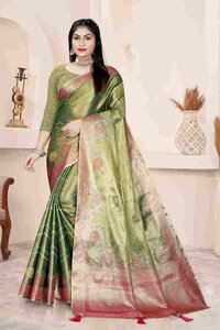 Parvati Multicolor Rapier Silk Saree -25921