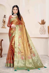 Parvati Multicolor Rapier Silk Saree -25921