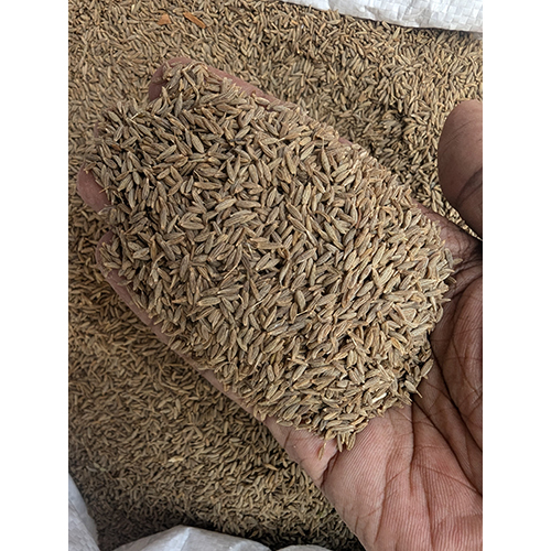 Cumin Seed