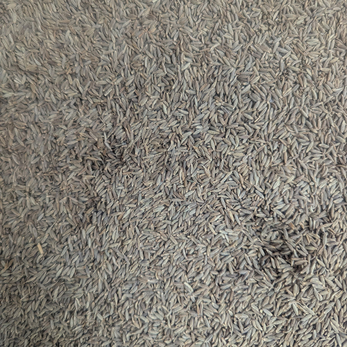 Cumin Seed - Brown Whole Seeds | 12 Months Shelf Life, Store In Dry Place For Optimal Freshness