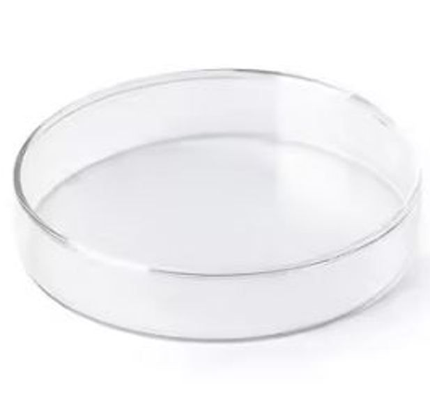 Petri Dish - Premium Laboratory Grade Glass | Ideal for Bacterial Culturing, Sterilization Compatibility, Easy to Stack