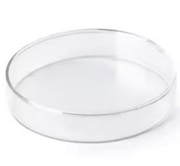 Petri Dish - Application: Laboratory