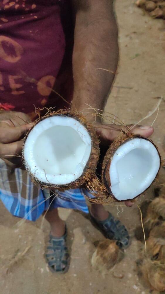 Fresh Coconut