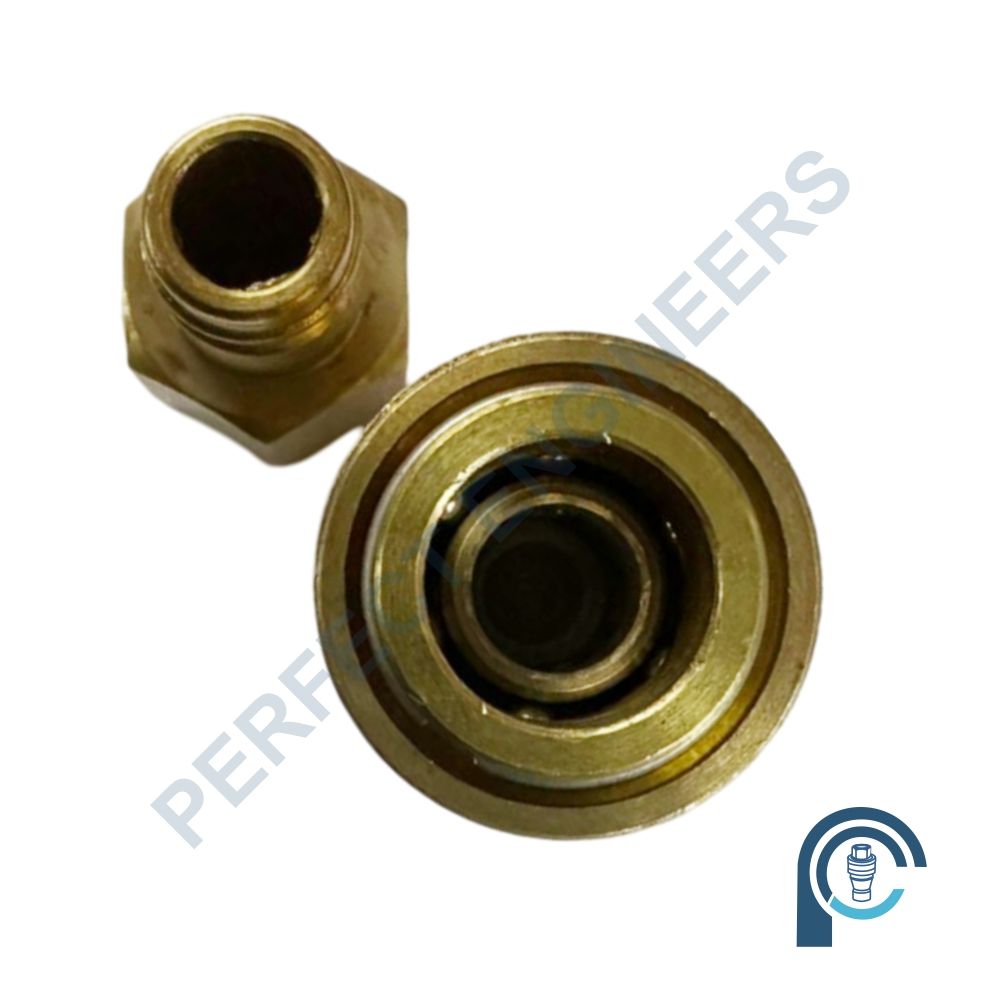 Brass Single Check Valve