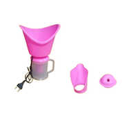 Electric Steam Vaporizer