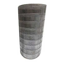 SS Wire Mesh Belt