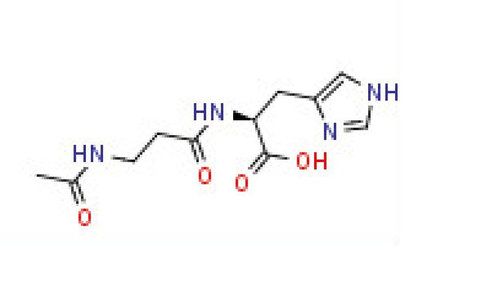 N-Acetyl-l- carnosine