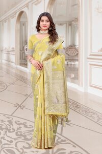 Parvati Multicolor Rapier Silk Saree -25843