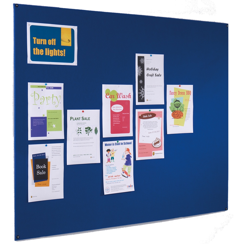 School Pin Board
