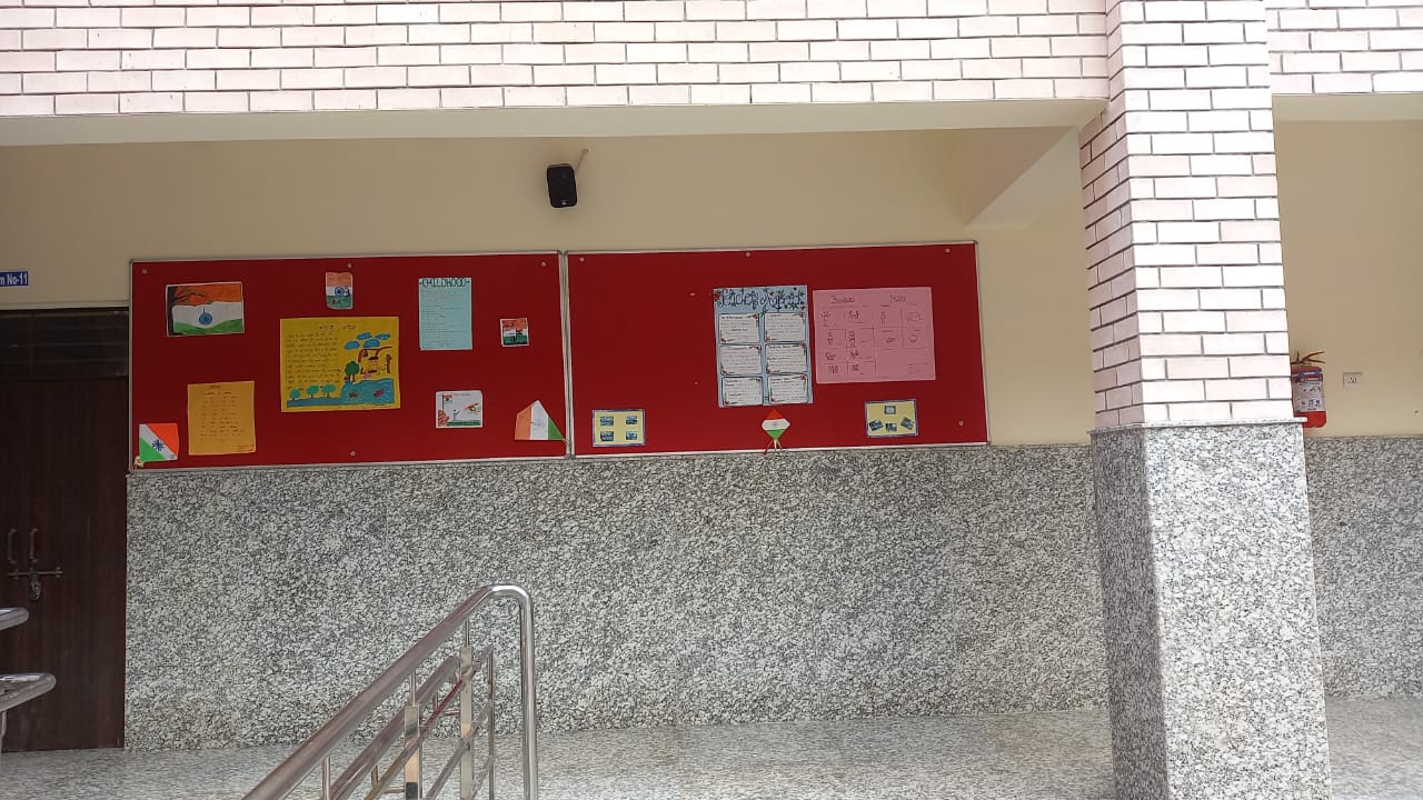School Pin Board