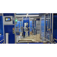 Robotic Vision Inspection Machine