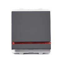 Schneider Electric Opale - 20A Dp Switch, 2 Mod With Indicator