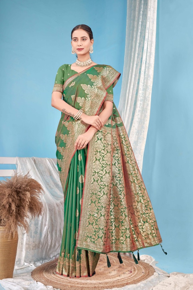 Parvati Multicolor Rapier Silk Saree -25829