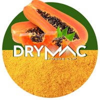 Spray Dried Papaya Powder - Fine Texture, Natural Yellow Color | Versatile Ingredient For Instant Beverages, Health Foods, Bakery, Baby Foods, Jellies