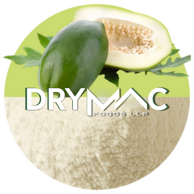 Unripe Green Papaya Powder - Water-Soluble White Powder, 12 Months Shelf Life | Ideal for Beverage Premixes, Health Foods, Bakery Goods, Baby Foods, Jellies