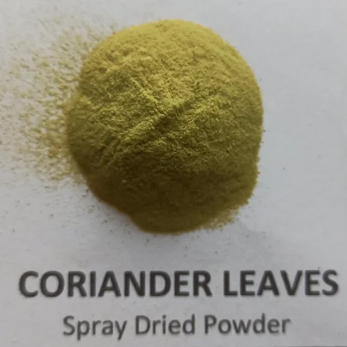 Spray Coriander Leaf Powder - Shelf Life: 12 Months