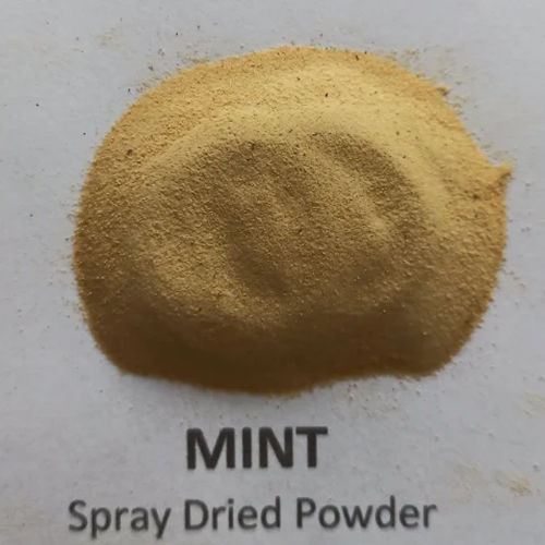 Mint Leaves Powder