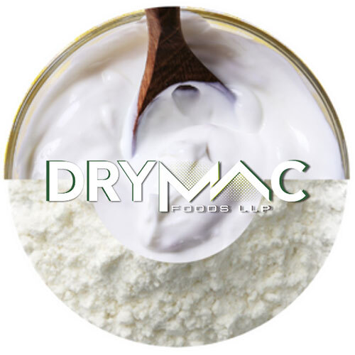 Spray Dried Curd Powder