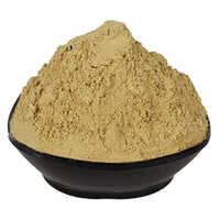 Dehydrated Organic Haritaki Powder