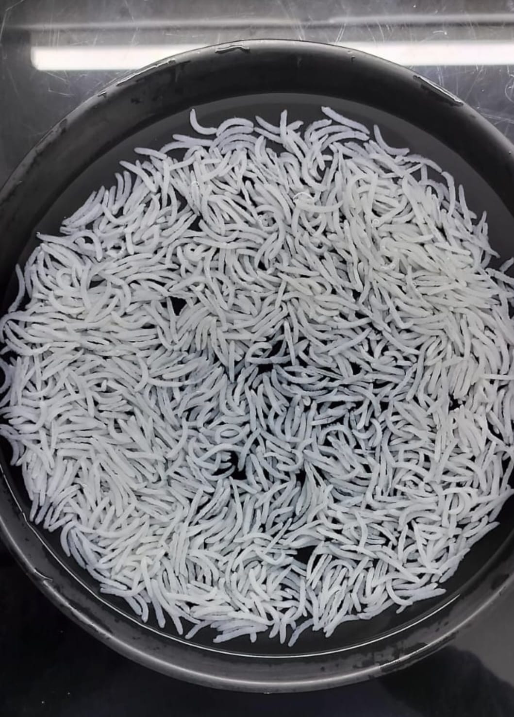Long Grain Basmati Rice