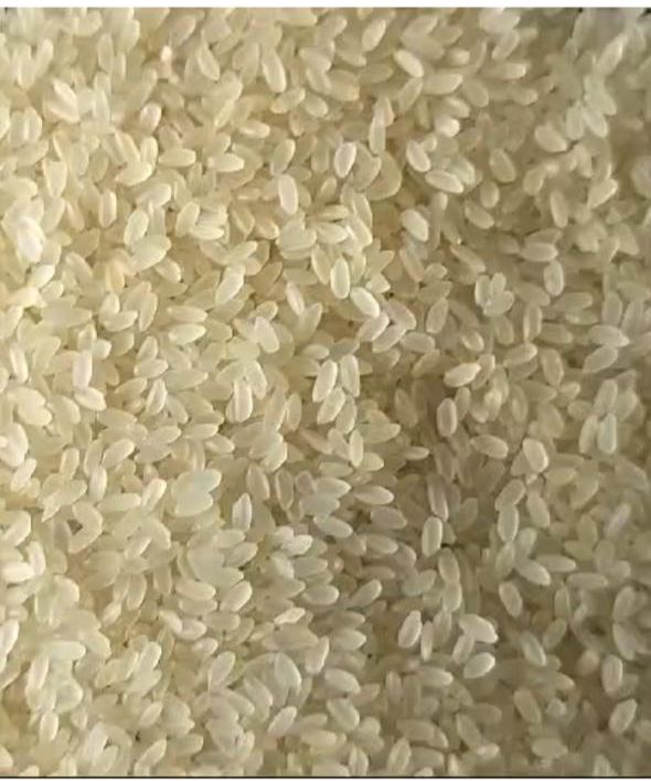 mansoori rice non basmati