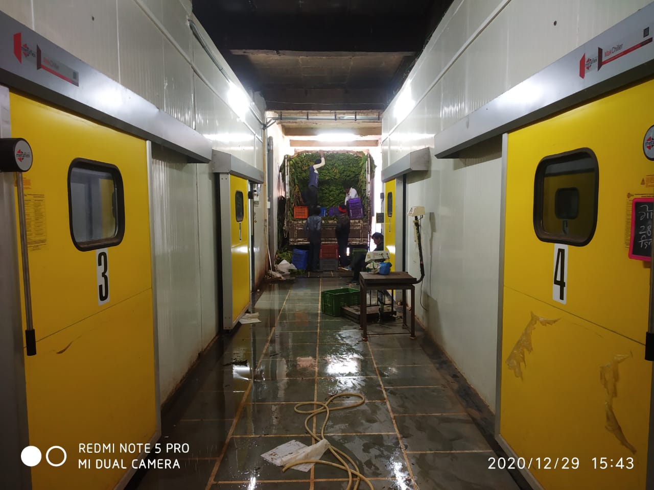 Multipurpose Cold Storage - Automatic Grade: Automatic