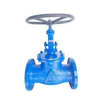 Cast Globe Valve - Color: Paint Coated