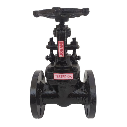 Forged Globe Valve - Material: Stainless Steel