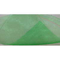 Green Insect Net