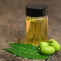 Organic Neem Oil - 118 mL Liquid | High Purity, Natural Insecticide, Antioxidant-Rich, Anti-Inflammatory Benefits for Hair and Skin