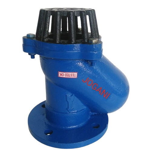 Ball Type Foot Valve - Material: Stainless Steel